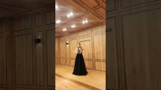 하이든 바이올린 협주곡 1번 Haydn Concerto No1 in C [upl. by Aihsak]