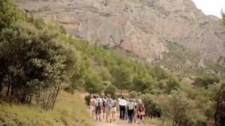 Randonnée en Provence avec Humeur vagabonde  MYPROVENCE [upl. by Darrell684]