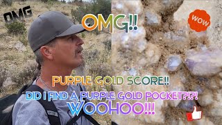 Purple Gold Treasure Score Rockhounding A Huge Quartz Vein Did I Just Find A Purple Gold Pocket [upl. by Link]