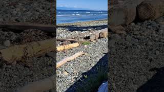 Tide coming in at Seacrest Beach in Qualicum Beach  3 hours in 2 minutes wwwwinterphoto2006com [upl. by Enorel]