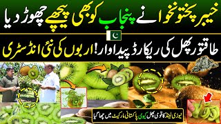 KPK Made a New Record After Punjab  KIWI Cultivation in Pakistan  Discover Pakistan [upl. by Eimarrej]