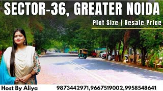 Greater Noida Authority Plots  Sector36 Greater Noida  Plot Size  Resale Price  Authority Plots [upl. by Aney939]