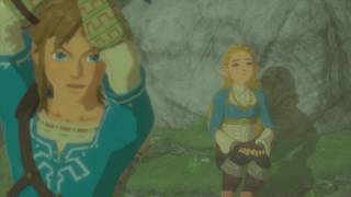 BotW Recovered Memory 11 Photo 7 [upl. by Aniretake]