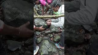 खेकडे पककडतेवळेस वायरल व्हिडिओkhekade pakadteveles vairal video chimbori vairal videoखेकडे viral [upl. by Agripina]