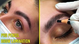 Follow along Brow Lamination tutorial for all eyebrow types Pro Pencil [upl. by Trinia]