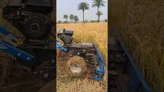 Best Reaper Machine  ₹ 110 Lakh Farming Machine farming viralshort [upl. by Helaina]