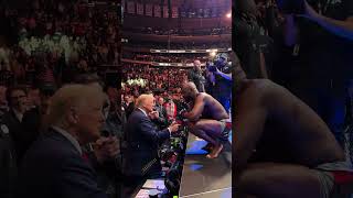 US Presidentelect Donald Trump in attendance at UFC 309 at Madison Square Garden 2 [upl. by Reinaldos870]