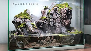 making an waterfall paludarium with mist maker [upl. by Nnave671]