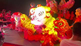 Lunar New Year in Brisbane Sunnybank Plaza rooftop lion dragon dance [upl. by Assilam]