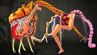 🦒 💥 New The Biggest Zoochosis Transformation We Ever Made [upl. by Okiman433]