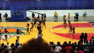 Elite Starz of Nashville vs Divas of Dance vs Purple Diamonds Fast [upl. by Niraa]