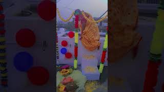 Happy Chatham puja  manviaaryan new video 📹 ♥️ 👌 😍 ✨️ [upl. by Benedetta]