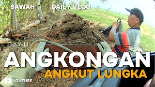 DAILY VLOG  VIDEO ANGKUT LUNGKA  SAWAH • ANGKONGVLOG [upl. by Barta]