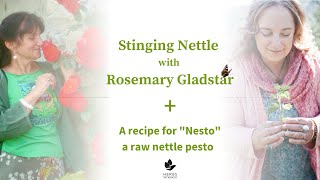 Stinging Nettle with Rosemary Gladstar  Nesto Recipe Raw Nettle Pesto [upl. by Rives964]