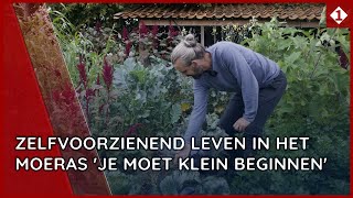 Zelfvoorzienend leven in Het Moeras Je moet klein beginnen [upl. by Nivlag]