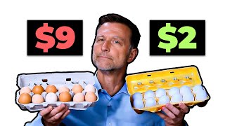 Are Expensive Eggs Really Worth It [upl. by Anial295]