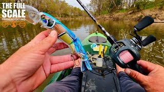 Goulburn River Topwater Murray Cod  The Full Scale [upl. by Zak]