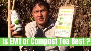 Is Compost Tea or EM1 Best For Beneficial Microbes for Your Garden [upl. by Lectra341]