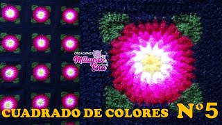 Como tejer el Cuadrado o muestra de colores N° 5 a crochet para colchas y cojines paso a paso [upl. by Timmi]