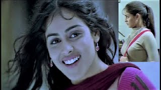 Genelia  Movie actor  Indian cinema  Music video [upl. by Froh]