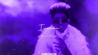 MC STAN INSAAN  SLOWED  REVERB  LOFI [upl. by Enelkcaj]