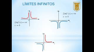 13 Limites en el infinito [upl. by Consalve]