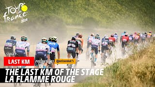 Last Km  Stage 9  Tour de France 2024 [upl. by Idou512]