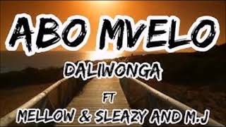 Daliwonga  Abo Mvelo feat Mellow amp Sleazy amp M J 3D Mix [upl. by Adnovad530]