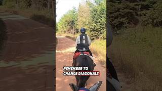 🐎What Do You Do❓ horse trailriding horseriding equestrian endurancehorse horsevlog gopro [upl. by Beau]