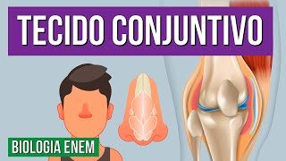 TECIDO CONJUNTIVO Tipos características funções e composição  Resumo de Biologia para o Enem [upl. by Eniliuqcaj969]