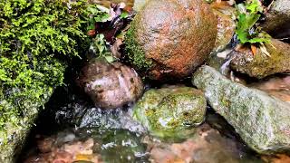 石の隙間を流れる川のちょろちょろ音 One hour Trickling Water Sound [upl. by Dulce410]