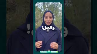 تطبيق لمسة  فيل وردي [upl. by Nic591]