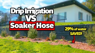 Soaker Hose vs Drip Irrigation  Replacing Soaker Hose with a DIY Drip Irrigation System [upl. by Nwahser140]