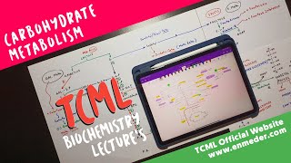 Carbohydrate Metabolism  Part 1  TCML Biochemistry Lectures [upl. by Eissak]