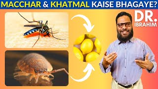 MaccharKhatmal Ko Kaise Bhagaye  How To Eliminate MosquitoBed Bugs  Dr Ibrahim [upl. by Athallia]