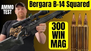 Will this Bergara Group [upl. by Yrogiarc]