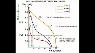 Soil Moisture Curve Explanation [upl. by Foote]