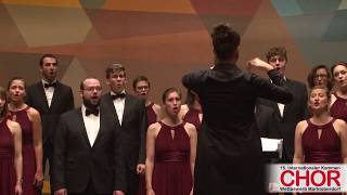 Collegium Musicum Berlin Sfogava con le stelle INTERN KAMMERCHORWETTBEWERB MARKTOBERDORF 2017 [upl. by Ful]