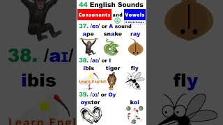 44 English Sounds 4  8 Diphthongs [upl. by Alikam]