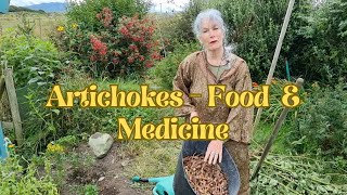 Artichokes  Food and Medicine [upl. by Breanne]