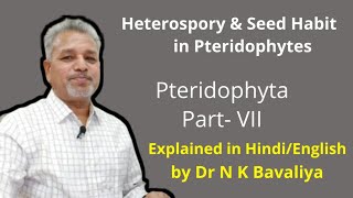 Heterospory and Seed Habit in Pteridophytes [upl. by Ahseina934]