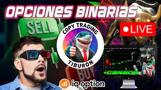 🔴TRADING OPCIONES BINARIAS🔴 ESTRATEGIA TIBURÓN SESIÓN COPY TRADING TIKTOK  IQ OPTION [upl. by Oiluarb]