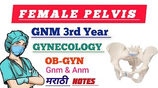 FEMALE PELVIS  GNM 3rd YEAR  GNM NURSING LECTURE IN MARATHI [upl. by Reace]