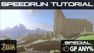 Breath of the Wild Speedrun Tutorial SPECIAL  Great Plateau Any [upl. by Rozina]