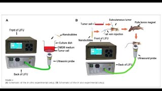 PLGA from PolySciTech used in development of delivery of genes for bone cancer treatment [upl. by Jordanna]