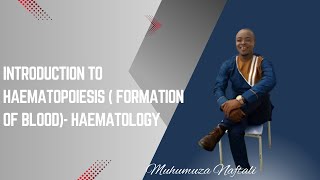 introduction to Haematopoiesis  Formation of blood Haematology [upl. by Latoniah]