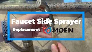 Replacing a Moen Faucet Side Sprayer [upl. by Alasdair379]