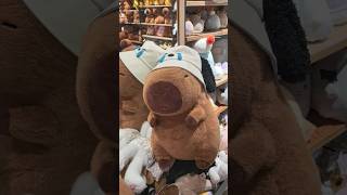 King Capybara 😱😱 plushtoy capybara satisfying shortsfeed shorts [upl. by Htaras]