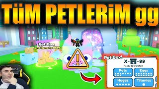 Titan Petlerimi ve Huge Petlerimi Transfer Ettim  Roblox Pet Simulator [upl. by Asined]