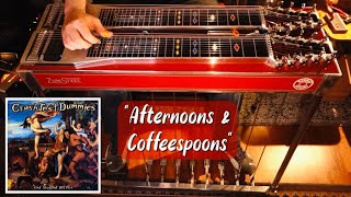 Pedal steel jam  Crash Test Dummies  Afternoons amp Coffeespoons [upl. by Dinah265]